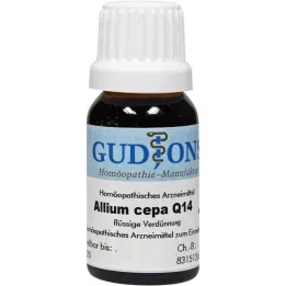 ALLIUM CEPA Q 14 lahus, 15 ml