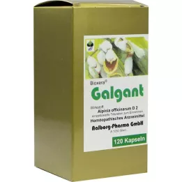GALGANT Kapseln, 120 tk