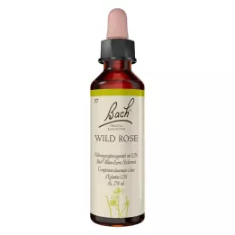 BACHBLÜTEN Metsroosi tilgad, 20 ml