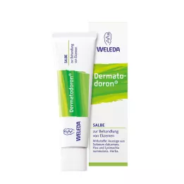 DERMATODORON Salv, 25 g