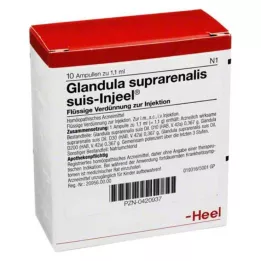 GLANDULA SUPRARENALIS Suis Deiseel ampullid, 10 tk