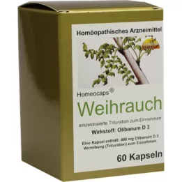 Vanplan Pharma viiruk kapslid, 60 tk