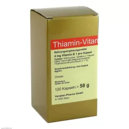 THIAMIN B1-vitamiini kapslid, 120 tk