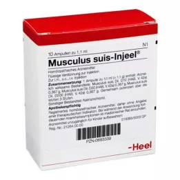 MUSCULUS SUIS Degiel ampullid, 10 tk