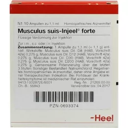 MUSCULUS SUIS DIGEEL FORTE AMPOULES, 10 tk