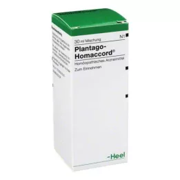 PLANTAGO HOMACCORD Tilgad, 30 ml