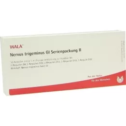 NERVUS TRIGEMINUS GL seeria pakk 2 ampulli, 10x1 ml