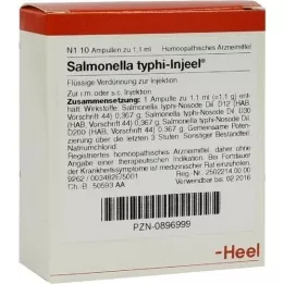 SALMONELLA TYPHI Degiel ampullid, 10 tk