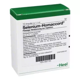 SELENIUM HOMACCORD ampullid, 10 tk
