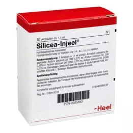SILICEA INJEEL ampullid, 10 tk