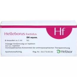HELLEBORUS FOETIDUS aquos. D 6 ampulli, 8X1 ml