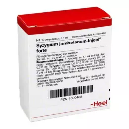 SYZYGIUM JAMBOLANUM INJEEL Forte Ampullid, 10 tk
