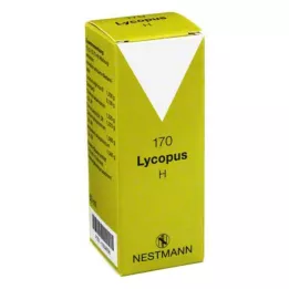 LYCOPUS H nr 170 tilka, 50 ml