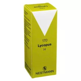 LYCOPUS H nr 170 tilka, 100 ml