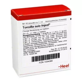 TONSILLA SUIS Degiel ampullid, 10 tk