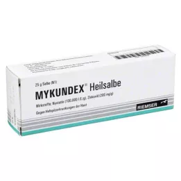 MYKUNDEX tervendav salv, 25 g