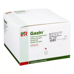 GAZIN pflaum.steril 2+2 Schutzr.o.rk, 100 tk