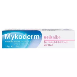 MYKODERM Tervendav salv Nüstatiin ja tsinkoksiid, 25 g