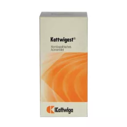 KATTWIGAST tabletid, 100 tk