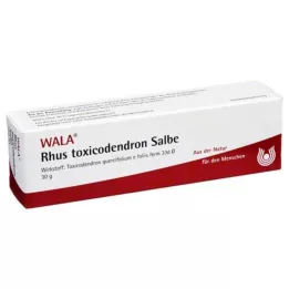 RHUS TOXICODENDRON SALV, 30 g