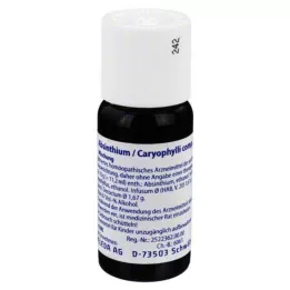 ABSINTHIUM/CARYOPHYLLI segu, 50 ml