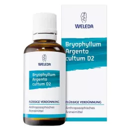 BRYOPHYLLUM ARGENTO kultiv D 2 Lahjendus, 50 ml