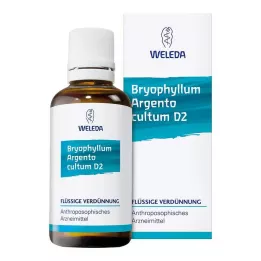 BRYOPHYLLUM ARGENTO kultiv D 3 Lahjendus, 50 ml