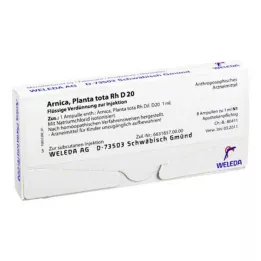 ARNICA PLANTA kokku Rh D 20 ampullid, 8X1 ml