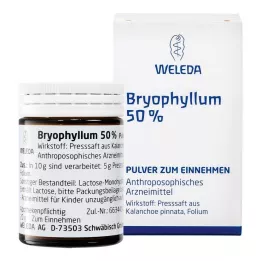 BRYOPHYLLUM 50% pulber suukaudseks kasutamiseks, 50 g