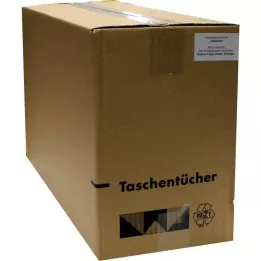 TASCHENTÜCHER Motiivvitamiinid, 1 tk