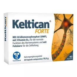 KELTICAN forte kapslid, 40 tk
