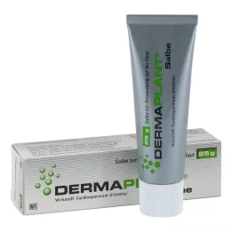 DERMAPLANT Salv, 25 g