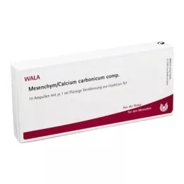 MESENCHYM/CALCIUM carbonicum komp. ampullid, 10X1 ml