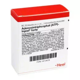 ATP DIGELE FORTE AMPOULES, 10 tk