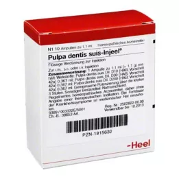 PULPA DENTIS SUIS Degiel ampullid, 10 tk