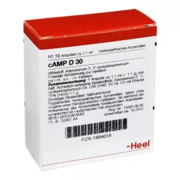 CAMP D 30 ampulli, 10 tk