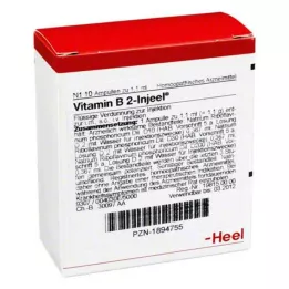 VITAMIN B2 INJEEL ampullid, 10 tk