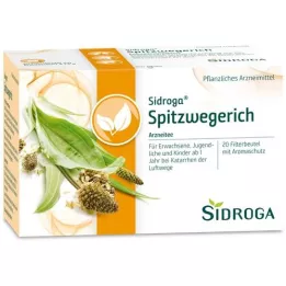SIDROGA Spitzwegerichi teefiltri kott, 20x1,4 g