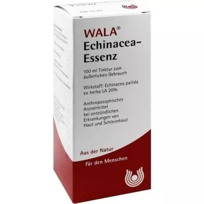 ECHINACEA ESSENCE, 100 ml
