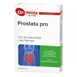 PROSTATA PRO Dr.Wolz kapslid, 2X20 tk