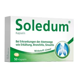 SOLEDUM 100 mg gastroresistentsed kapslid, 50 tk