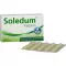 SOLEDUM 100 mg mao -resistentseid kapsleid, 50 tk
