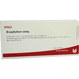 BRYOPHYLLUM COMP.Ampullid, 10X1 ml