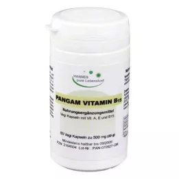 PANGAM Vitamiin B15 kapslid, 60 tk