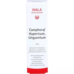 CAMPHORA/HYPERICUM unventism, 30 g