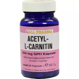 ACETYL-L-CARNITIN 250 mg kapslid, 60 tk