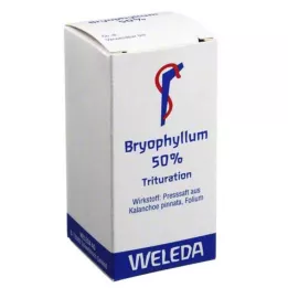 BRYOPHYLLUM 50% pulber suukaudseks kasutamiseks, 20 g
