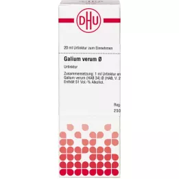 GALIUM VERUM Urtton, 20 ml