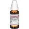 LATRODECTUS mactans D 8 Lahjendus, 20 ml