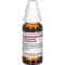 Phellandrium AQUAT D 3, 20 ml